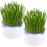 BENPIN 2Pcs Hydroponic Cat Grass Planter (no Seeds Included) for Indoor Cat | Soil Free, Anti-Digging, Anti Grass Uprooted, Easy To Use, Wheatgrass Growing Pot, Cat Grass for Indoor Cats Rabbits Pets