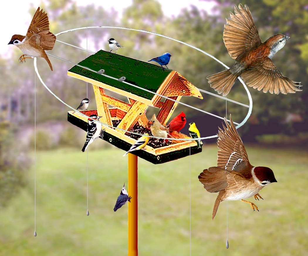 Bird X Sfmh Sparrow Free Magic Halo Keep Sparrows From Feeders