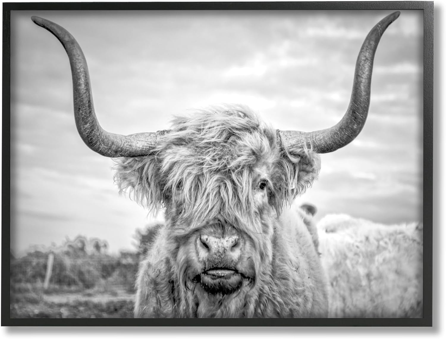 Wall Décor - Stupell Industries Black and White Highland Cow Photograph Framed Giclee Art Design By Joe Reynolds, 16.00