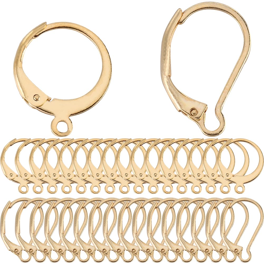 SUNNYCLUE 1 Box 80Pcs Real 18K Gold Plated Leverback Earring Hooks Bulk French Lever Back Earring Hooks Huggie Hoop Stainless Steel Ear Wires Fishhook Findings for jewellery Earrrings Making Supplies