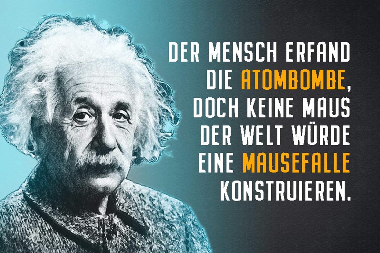 Reklame & Werbung Blechschild Spruch A.Einstein Mensch erfand Atombombe