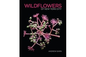 Wildflowers of New York City
