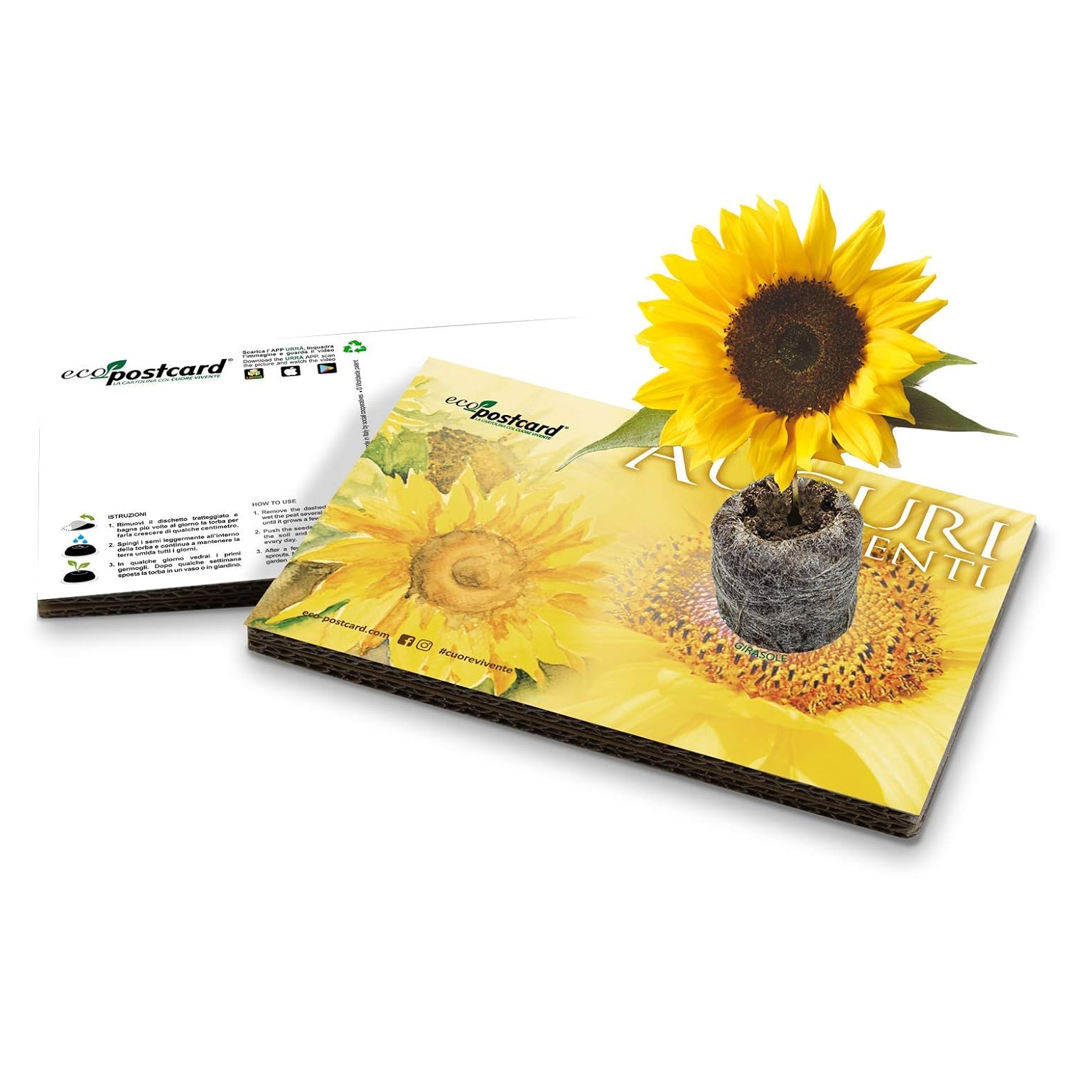 WADORN Biglietto D'Auguri In Legno Con Girasole E Cuore – 15x20 Cm, Romantico E Originale Per Compleanno, Anniversario