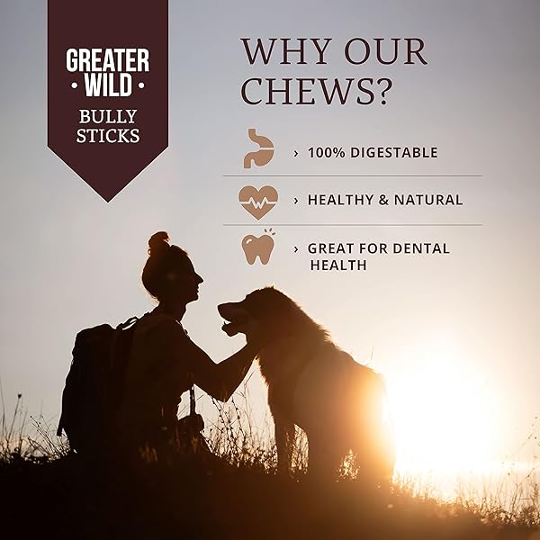 GREATER WILD 6 INCH BULLY STICKS DOG TREATS, 15 PACK, STANDARD THICKNESS – SINGLE INGREDIENT 100% ALL NATURAL BEEF, LONG LASTING DOG CHEWS