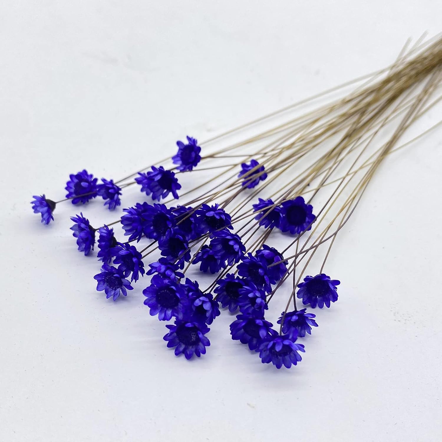Dried & Preserved Flora - MLSG 100 stems Natural Dry Flowers Brazilian Small Star Daisy Decorative Dried flowers Mini Daisy Chamomile Bouquet for Wedding Floral Arrangements Home Decorations Valentine's Day Gifts (Purple)