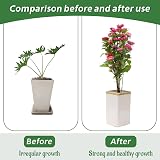 Hanotic 6Pcs Plant Support Stakes 30/60/90cm with Rings Clips Twistties view 8