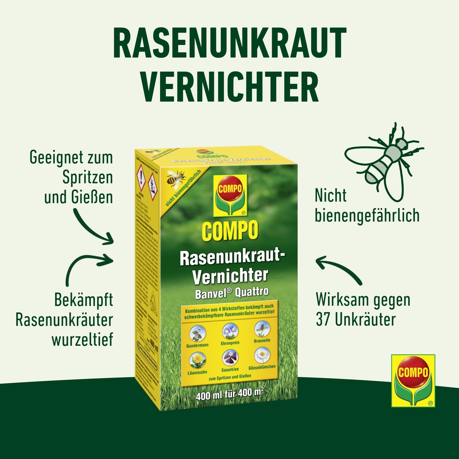 COMPO Rasenunkraut-Vernichter Banvel Quattro, Bekämpfung von schwerbekämpfbaren Unkräutern im Rasen, Konzentrat, 400 ml (400 m²) 2