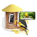 NETVUE by Birdfy Smart Bird Feeder with Camera