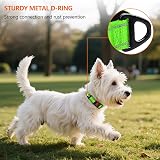 Taglory Reflective Nylon Dog Collar XS Green Safety Buckle Neoprene Padding view 2