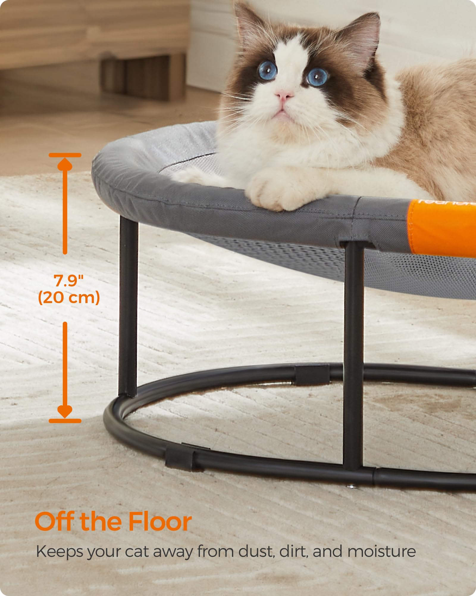 Feandrea Elevated Pet Bed