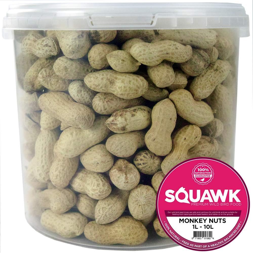 SQUAWK Monkey Nuts | Fresh Small Animal & Garden Wild Bird Food | Premium Quality Nut Feed | Aflatoxin Free Mix | Nutritious Protein-Rich High in Fibre Mixture | Perfect Year-Round Feeding (10L Tub)