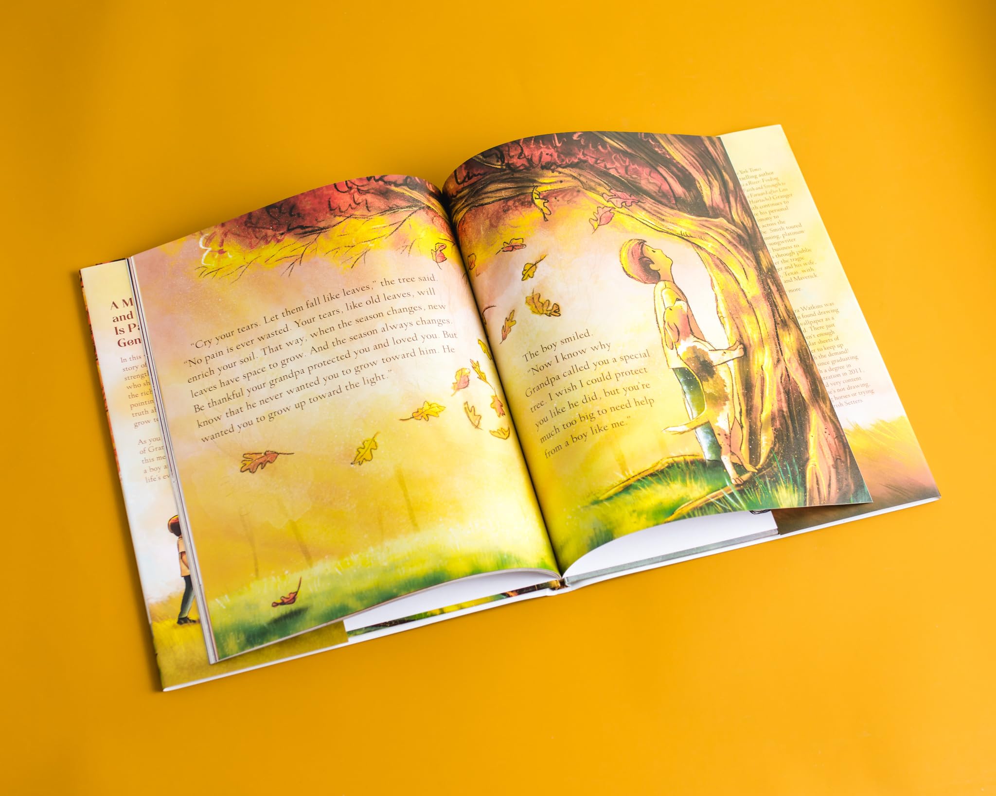 Up Toward the Light Up Toward the Light Hardcover