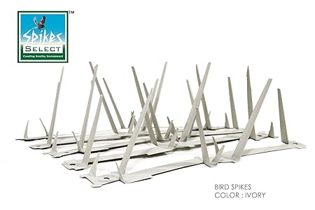 Select Spikes Steel Galvanized Single Sheet Polystyrene Powder Coated Bird Spikes (11 Ft 91 cms 12 Strips X 30 cms)