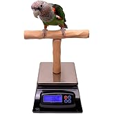 NU Perch Parrot Training Scale