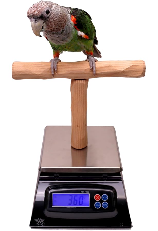 日本製 特別価格Digital Pet Bird Scale, Parrot Training Weight Scale with Perch
