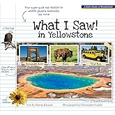 What I Saw in Yellowstone: A Kid's Guide to the National Park