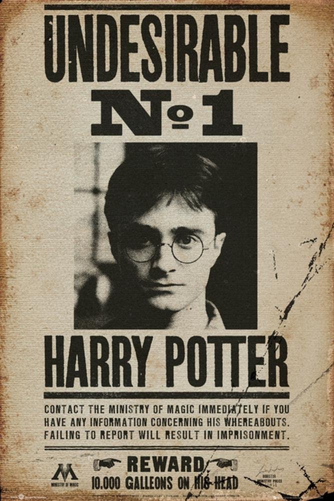 Harry Potter Poster Undesirable No. 1 (24"x36") Amazon.ca Home & Kitchen