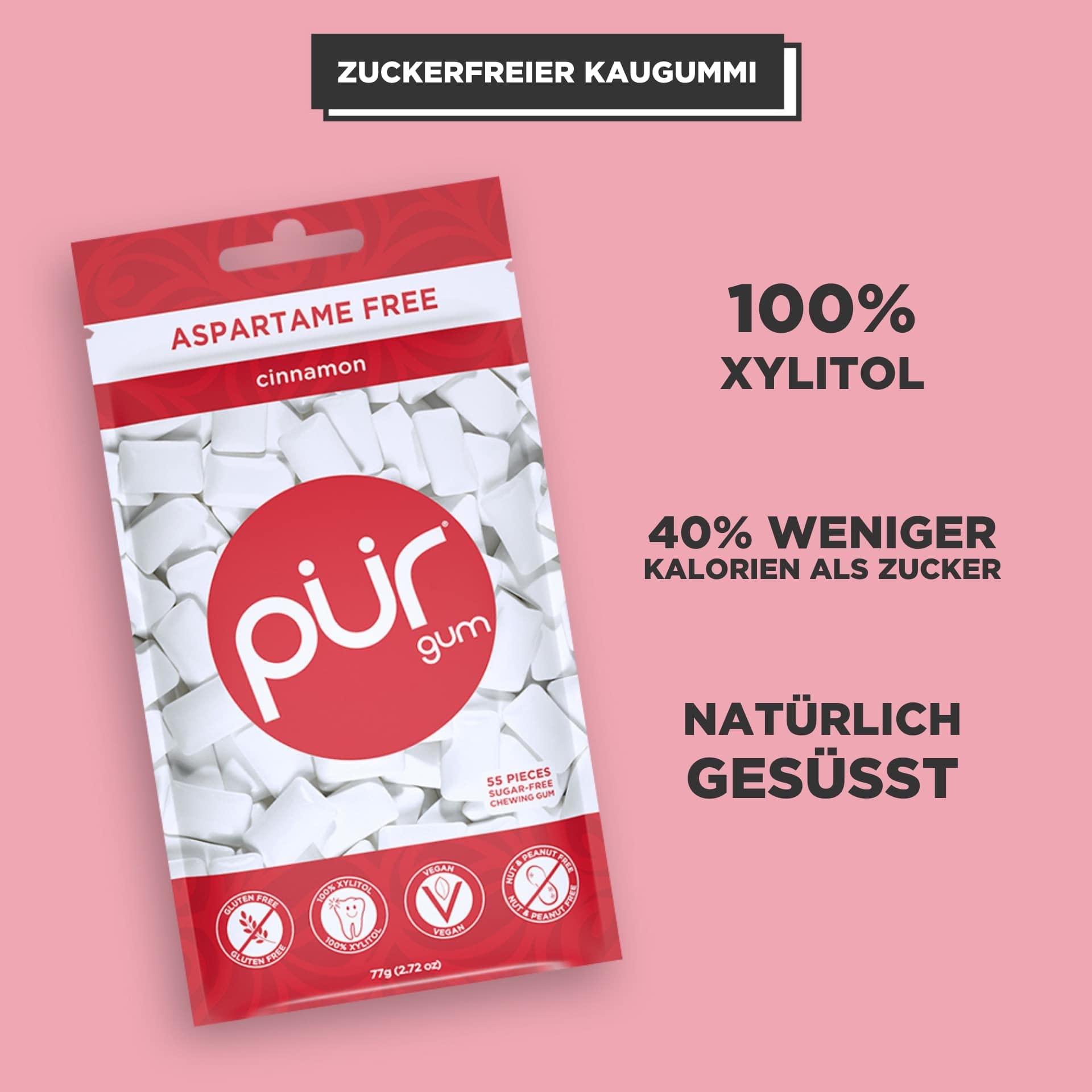 PUR Gum Aspartame Free Chewing Gum 100 Xylitol Natural Cinnamon