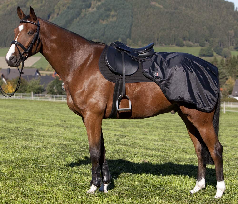 PFIFF 100249-60 Exercise Cover for Full- and Warm-Blooded Horses Black