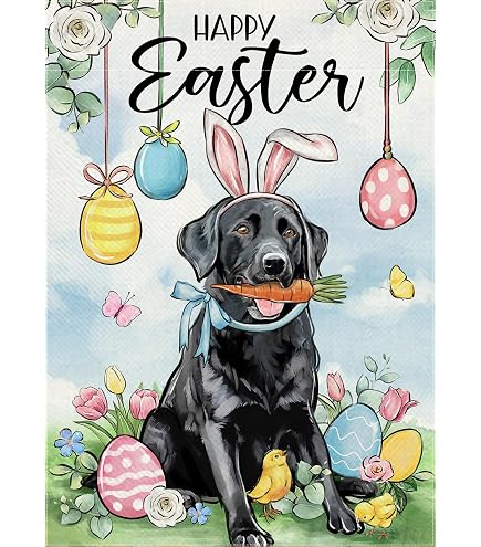 Dyrenson Gartenflagge „Welcome Easter“ – Mit Schwarzem Labrador, Ca. 30,5 X 45,7 Cm