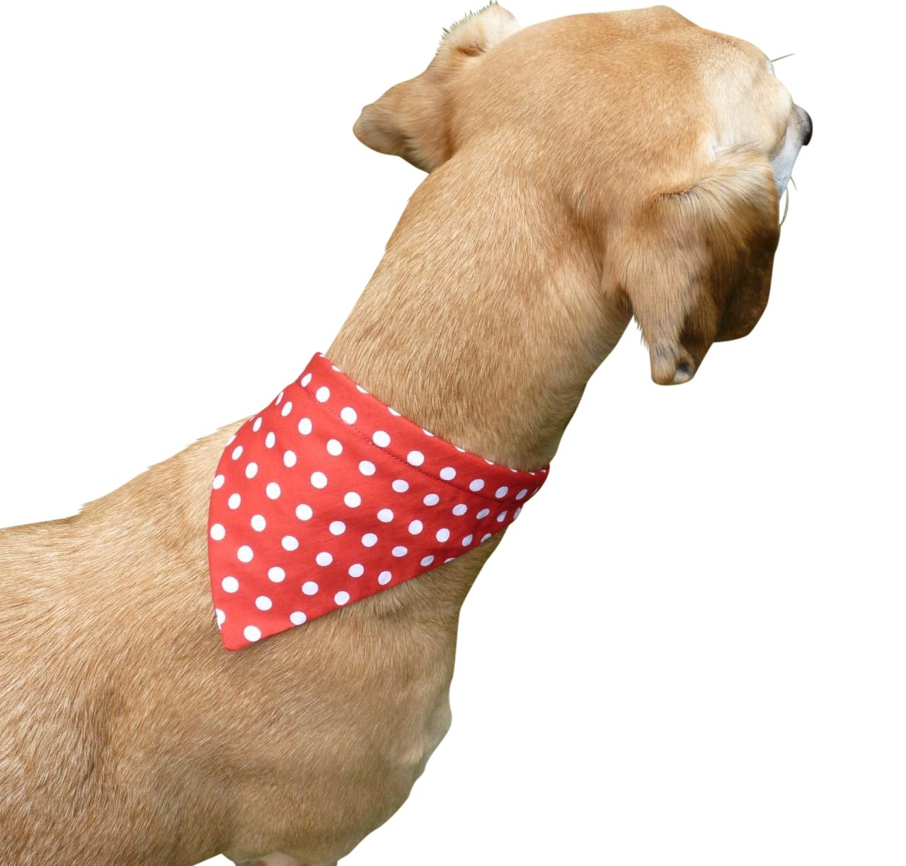 Dog Bandana HANDMADE SLIDE ON Amazon.co.uk Pet Supplies