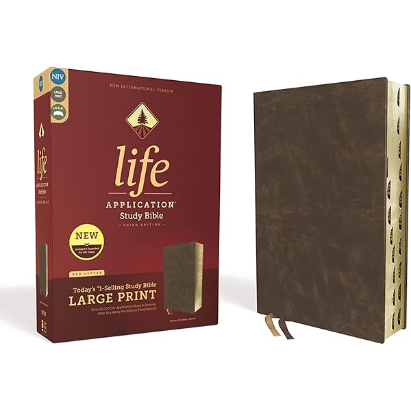 Amazon.com: NIV, Life Application Study Bible, Third Edition