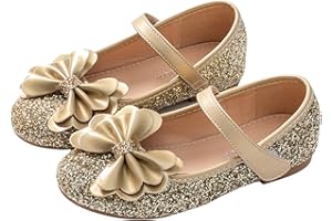 Naihoow Flower Girl Shoes Wedding Party Princess Shoes Girls Dress Shoes for Kid Toddler