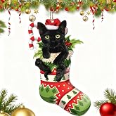 Black Cat Funny Christmas Ornaments 2025, 2D Acrylic Hanging Ornaments for Christmas Tree Decorations, Xmas Decor for Cat Lovers Stocking Stuffers Gifts for Women and Men