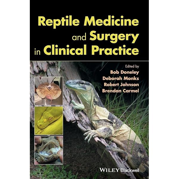 Reptile Medicine and Surgery in Clinical Practice: 9781118977675
