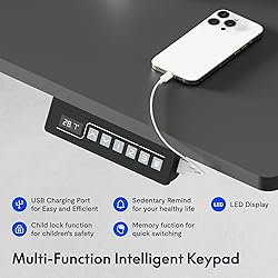 FLEXISPOT Large Standing Desk, 79 x 32 Electric