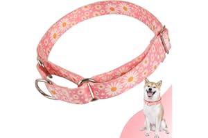 ONEFOJOJO Martingale Collar for Dogs Medium Large, Girl Dog Collars with Adjustable Soft Nylon and Special Pink Daisy Floral Design, Training No Slip Dog Collar (L)