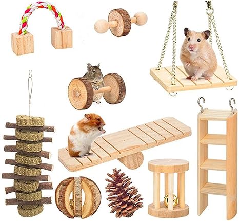 can hamsters chew on plastic