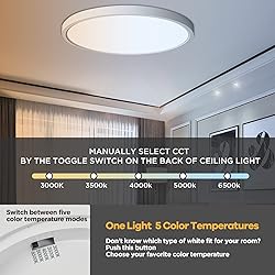 TALOYA Dimmable Flush Mount Ceiling
