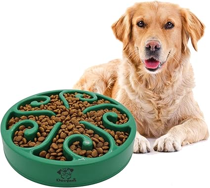 Amazon Com Decyam Pet Fun Feeder Dog Bowl Slow Feeder Slow