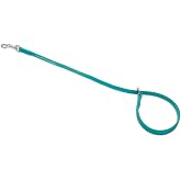 Jelly Pet Grooming Loop Slip Style (1/2" x 30", Teal) | Made in the USA