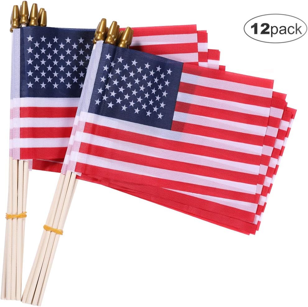 OLYNIK Small American Flags12 Pack, 5.5x8.2 Inch Small