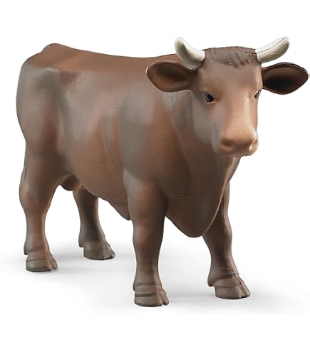 Amazon.com: CollectA Black Angus Bull : Toys & Games