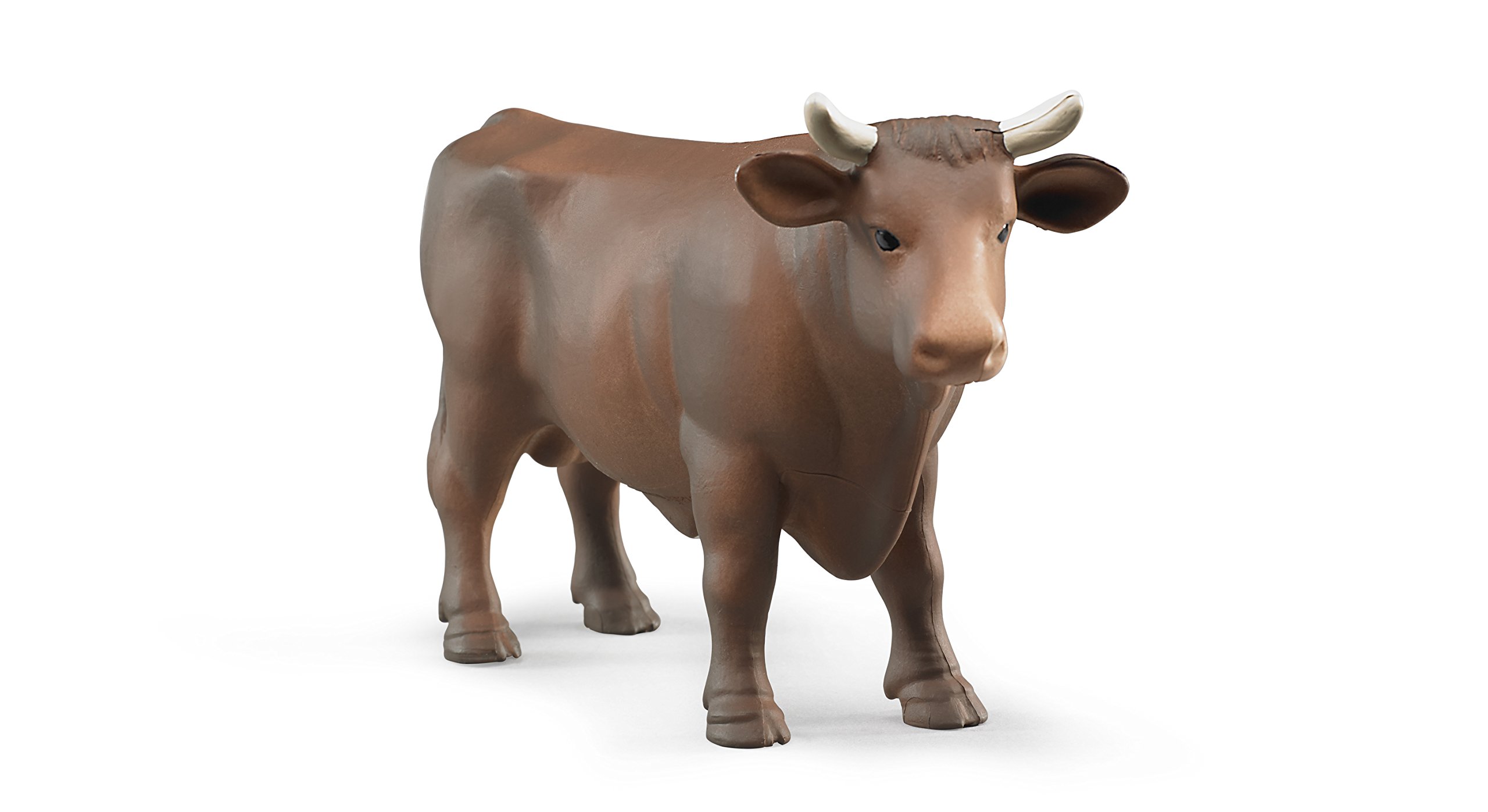 Bull - Brown