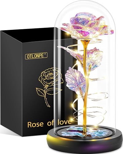 Otlonpe Rose Valentines Day Gifts Flower for Her, Birthday Gifts for Women, Mothers Day Christmas Womens Gifts for Mom Grandma Girlfriend Wife Sister, Preserved Forever Glass Roses Flowers