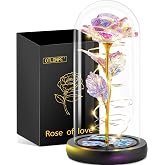 Otlonpe Forever Artificial Glass Rose Flower Lamp, Women Gifts for Birthday Christmas Valentines Mothers Day, Home Decor, Preserved 7.7'' Rose Gifts for Mom Grandma Daughter Wife Girlfriend (Rainbow)
