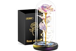 Otlonpe Rose Flower Christmas Decorations Gifts for Women, Valentines Day Mothers Day Anniversary Birthday for Mom Wife Girlfriend Grandma Sister, Forever Glass Roses Flowers (Colorful)