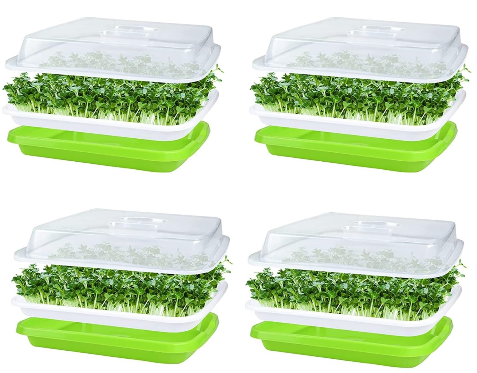 KAHEIGN 4Pcs Seed Sprouting Trays with Lid, 32cm x 26cm Large Capacity Germination Tray BPA Free Healthy Hydroponic Propagator with 24Pcs Planting Papers for Growing Mung Beans, Alfalfa, Wheat Grass