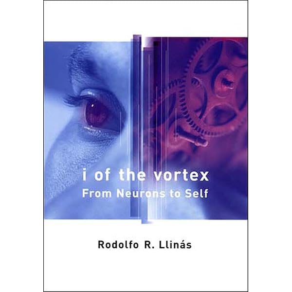 健康・医学 Rhythms of the Brain 博客來-Rhythms of the Brain