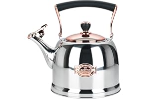 LAZNEYRU Tea Kettle Stainless Steel Teapot, Stainless Steel Teakettle for Stove Top with Heat Proof Ergonomic Handle 3.0 Quart