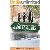 Promise Me Jerusalem: A Novel book cover