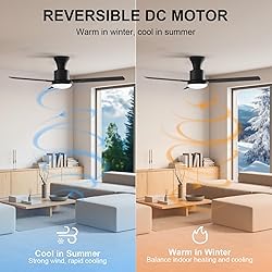 52 Inch Ceiling Fan with Remote & APP Control, LED
