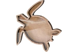 Seashells Holders Seashells Display Box Wooden Display Case with Clear Acrylic Window for Collections Starfishs Gift Seashell