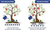 Maximex Wurzelgießer Set of 3 Root Waterers, 30x5.5cm, Black Plastic view 5