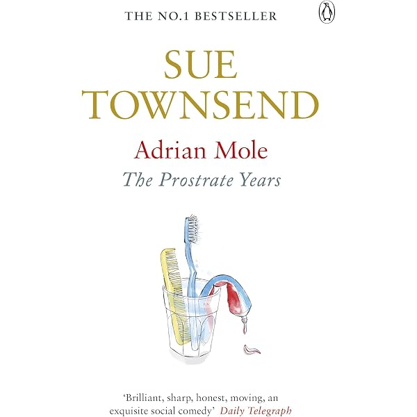Adrian Mole The Wilderness Years: Townsend, Sue: 9780141010885