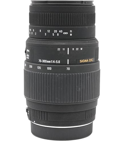 Used Canon 75-300mm f4-5.6 II USM Lens : Amazon.ca: Electronics
